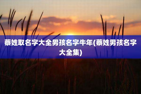 蔡姓取名字大全男孩名字牛年(蔡姓男孩名字大全集)