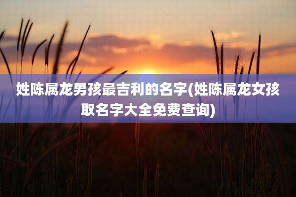 姓陈属龙男孩最吉利的名字(姓陈属龙女孩取名字大全免费查询)