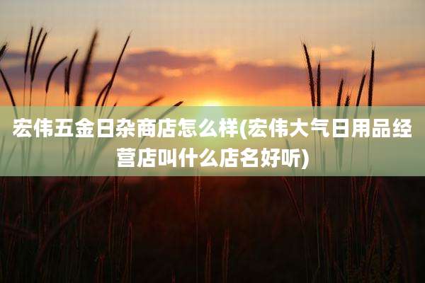 宏伟五金日杂商店怎么样(宏伟大气日用品经营店叫什么店名好听)