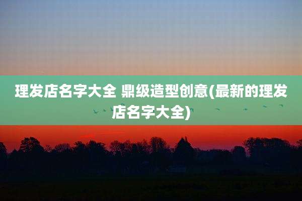 理发店名字大全 鼎级造型创意(最新的理发店名字大全)