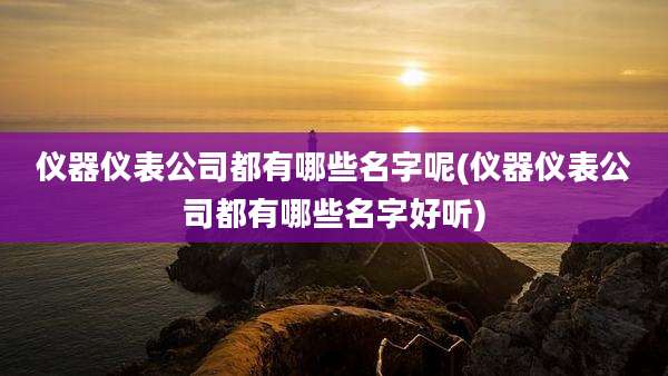 仪器仪表公司都有哪些名字呢(仪器仪表公司都有哪些名字好听)