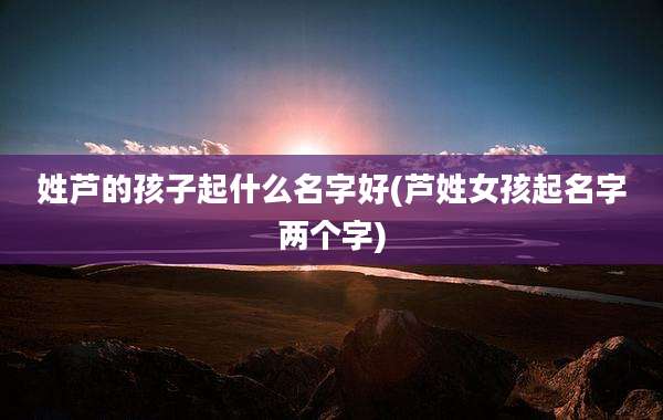 姓芦的孩子起什么名字好(芦姓女孩起名字两个字)