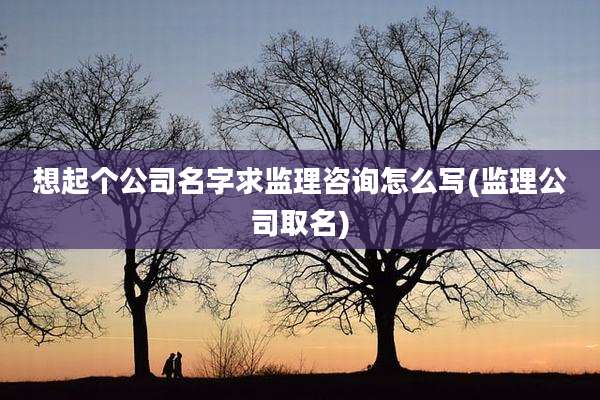 想起个公司名字求监理咨询怎么写(监理公司取名)