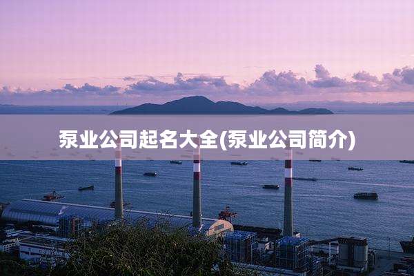 泵业公司起名大全(泵业公司简介)