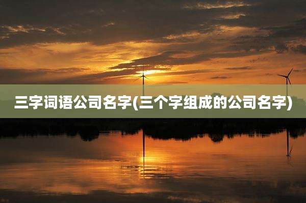 三字词语公司名字(三个字组成的公司名字)