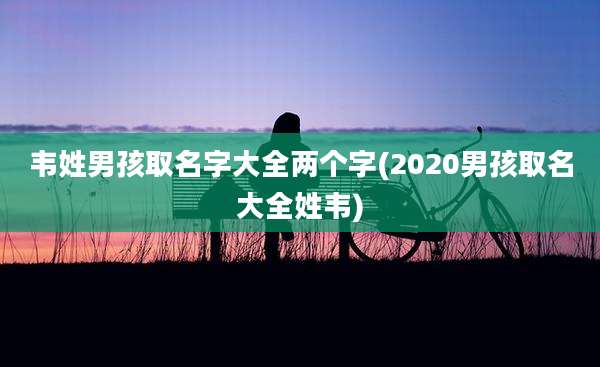 韦姓男孩取名字大全两个字(2020男孩取名大全姓韦)