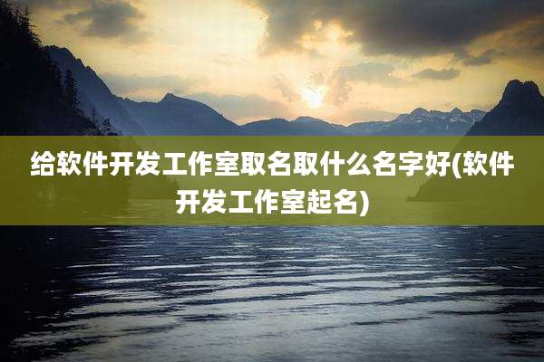 给软件开发工作室取名取什么名字好(软件开发工作室起名)