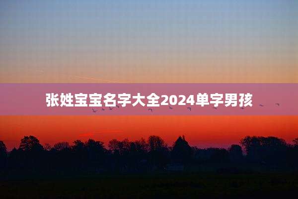张姓宝宝名字大全2024单字男孩
