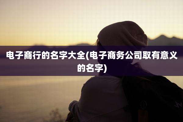 电子商行的名字大全(电子商务公司取有意义的名字)