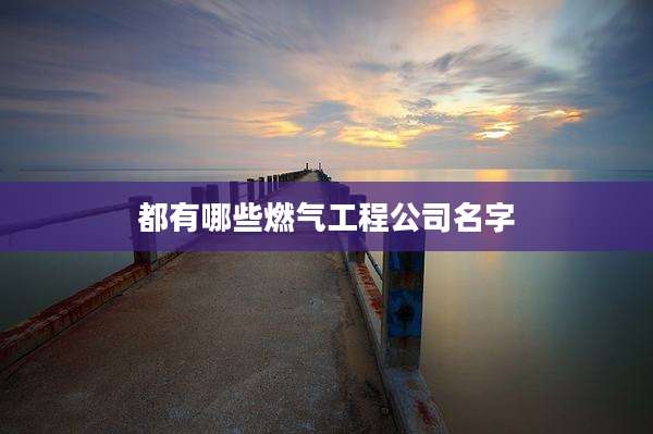 都有哪些燃气工程公司名字