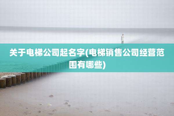 关于电梯公司起名字(电梯销售公司经营范围有哪些)