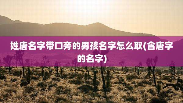 姓唐名字带口旁的男孩名字怎么取(含唐字的名字)