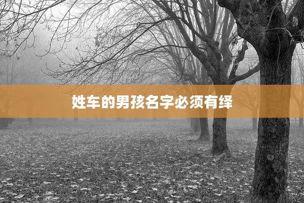 姓车的男孩名字必须有绎