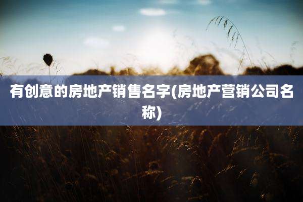 有创意的房地产销售名字(房地产营销公司名称)