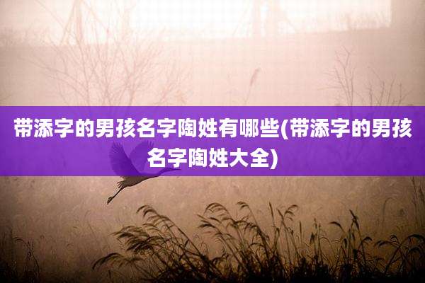 带添字的男孩名字陶姓有哪些(带添字的男孩名字陶姓大全)