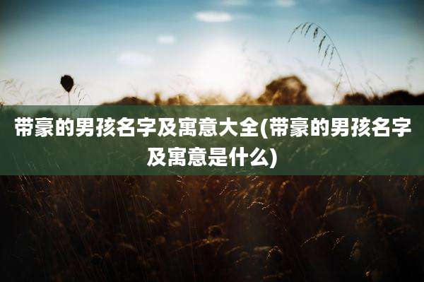 带豪的男孩名字及寓意大全(带豪的男孩名字及寓意是什么)