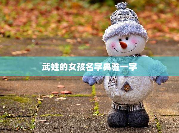武姓的女孩名字典雅一字