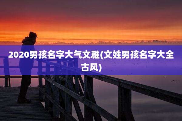 2020男孩名字大气文雅(文姓男孩名字大全古风)
