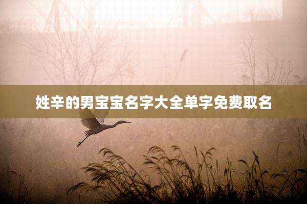 姓辛的男宝宝名字大全单字免费取名