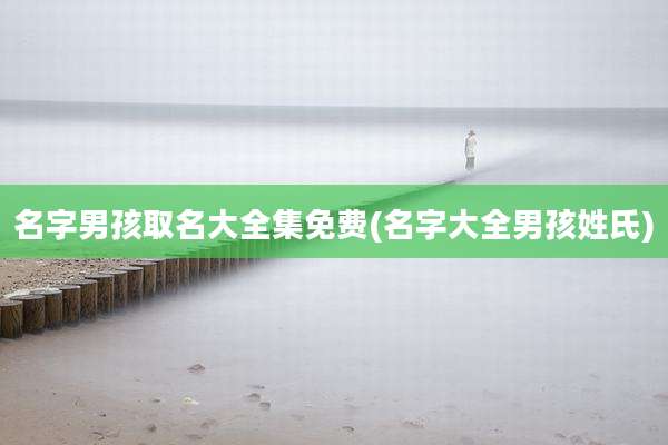 名字男孩取名大全集免费(名字大全男孩姓氏)