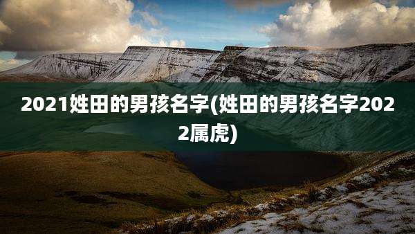 2021姓田的男孩名字(姓田的男孩名字2022属虎)