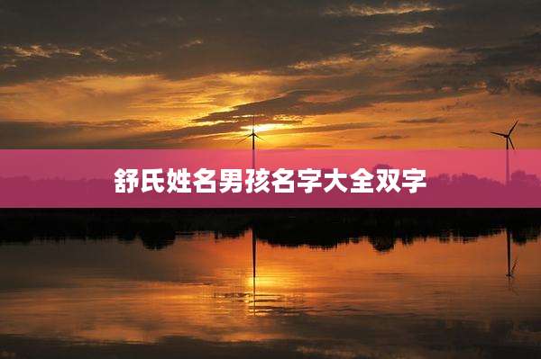 舒氏姓名男孩名字大全双字