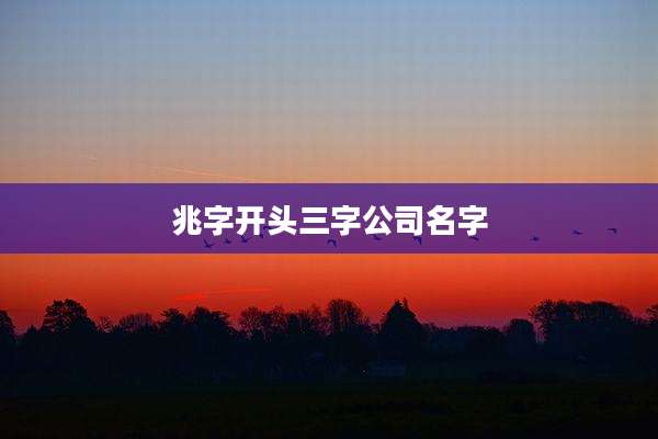 兆字开头三字公司名字