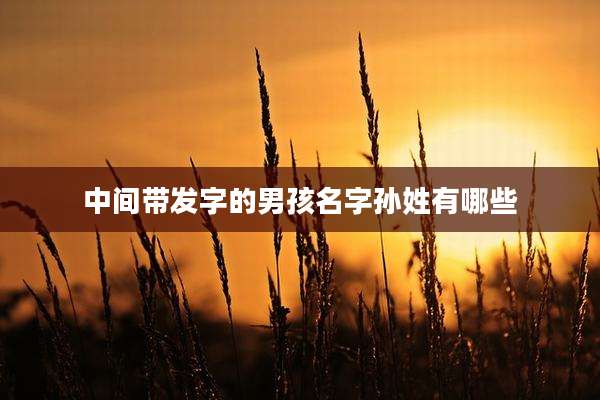 中间带发字的男孩名字孙姓有哪些
