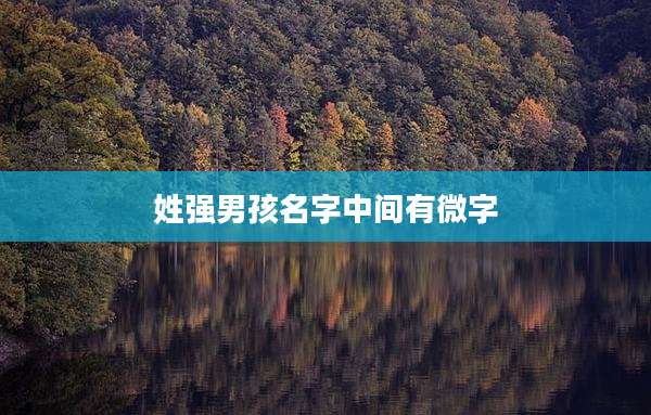 姓强男孩名字中间有微字