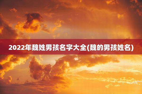 2022年魏姓男孩名字大全(魏的男孩姓名)