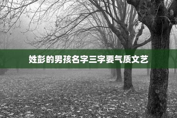 姓彭的男孩名字三字要气质文艺