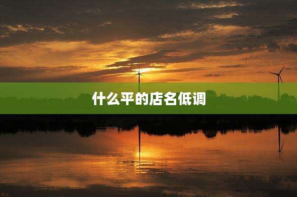 什么平的店名低调
