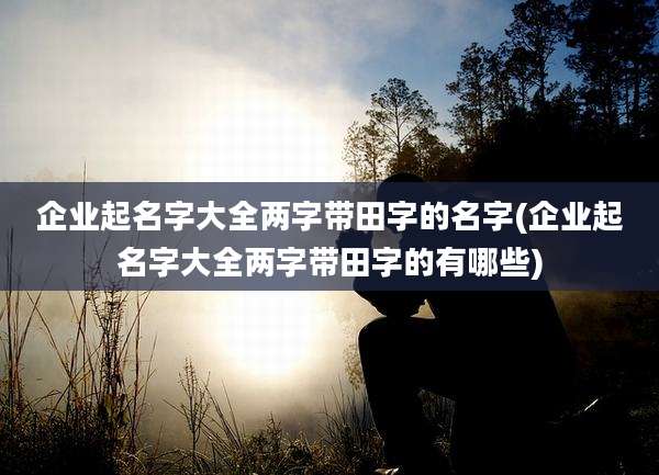 企业起名字大全两字带田字的名字(企业起名字大全两字带田字的有哪些)