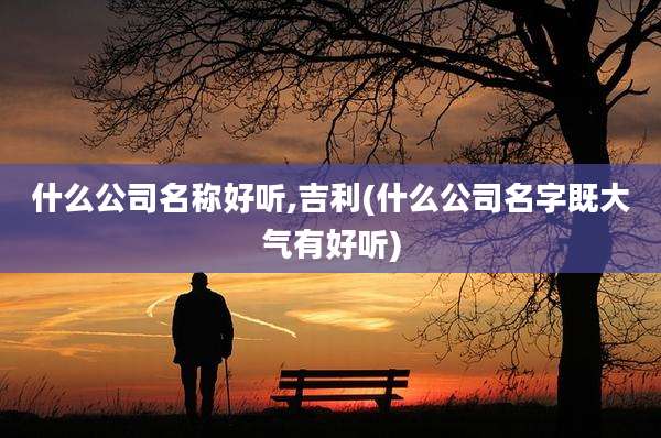 什么公司名称好听,吉利(什么公司名字既大气有好听)