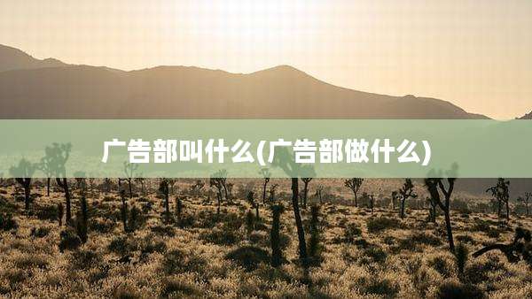 广告部叫什么(广告部做什么)