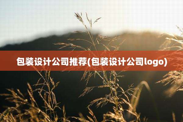包装设计公司推荐(包装设计公司logo)