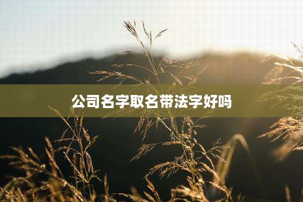 公司名字取名带法字好吗