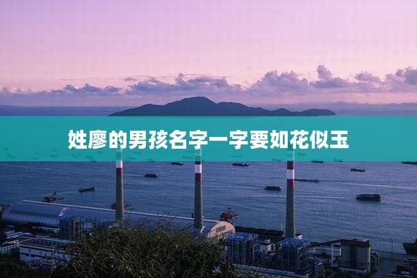 姓廖的男孩名字一字要如花似玉