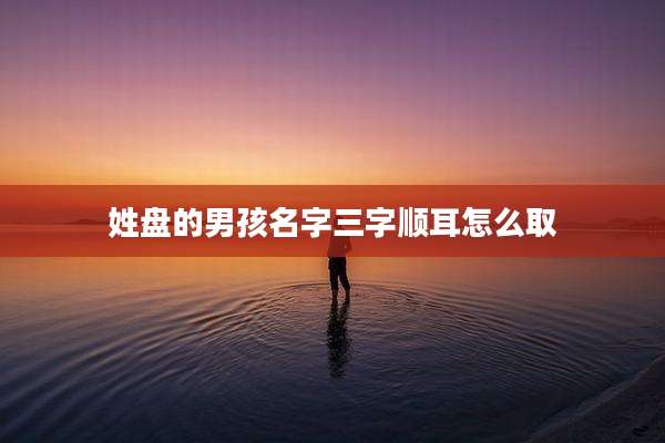 姓盘的男孩名字三字顺耳怎么取