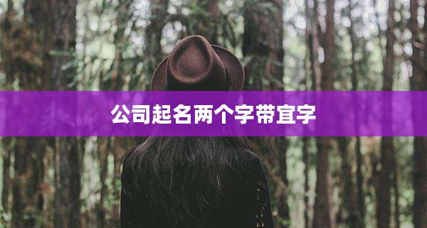 公司起名两个字带宜字