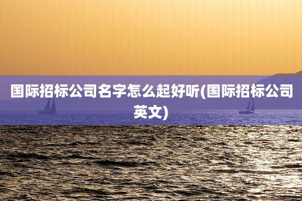 国际招标公司名字怎么起好听(国际招标公司英文)
