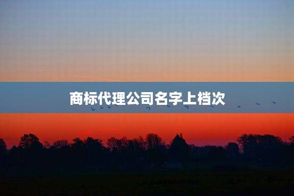 商标代理公司名字上档次