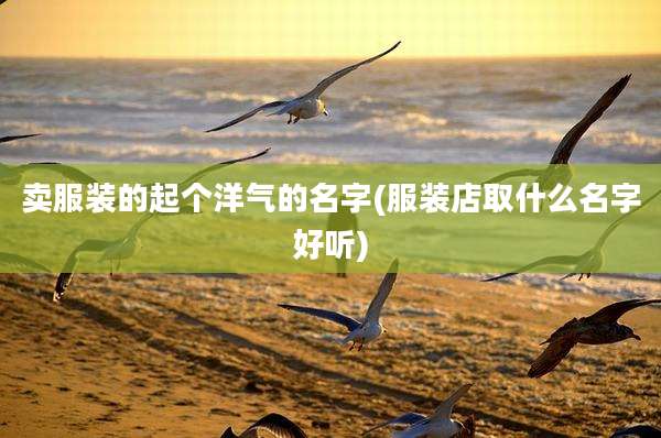 卖服装的起个洋气的名字(服装店取什么名字好听)