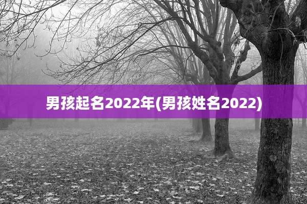 男孩起名2022年(男孩姓名2022)