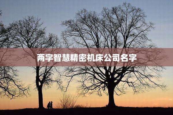 两字智慧精密机床公司名字