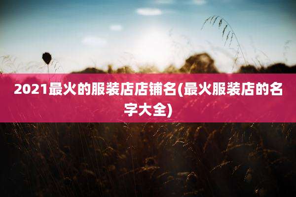 2021最火的服装店店铺名(最火服装店的名字大全)