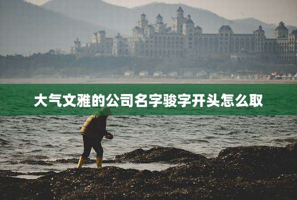 大气文雅的公司名字骏字开头怎么取
