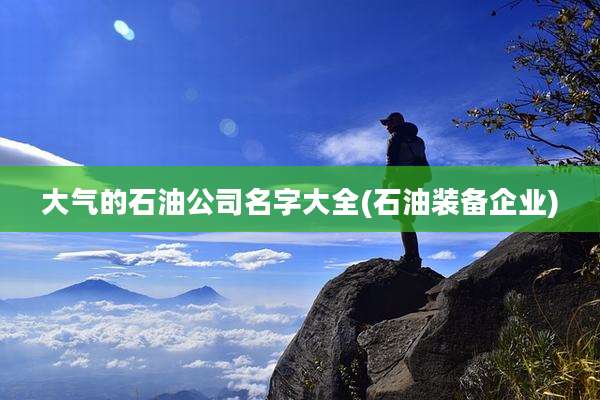 大气的石油公司名字大全(石油装备企业)