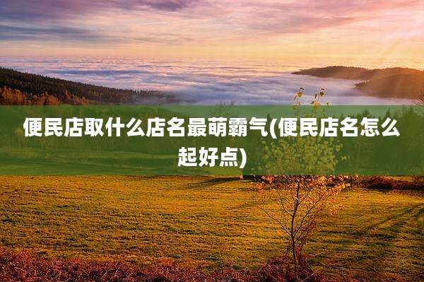 便民店取什么店名最萌霸气(便民店名怎么起好点)