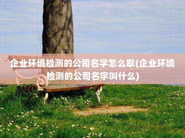 企业环境检测的公司名字怎么取(企业环境检测的公司名字叫什么)